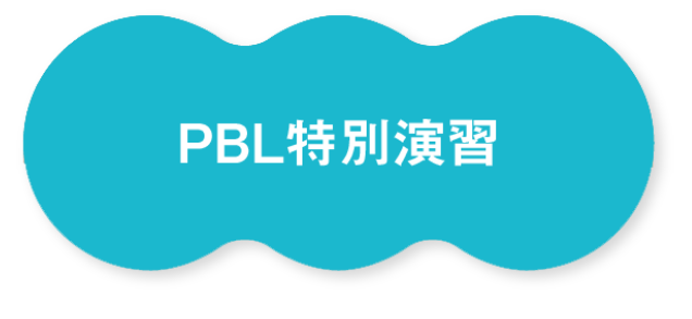 PBL特別実習